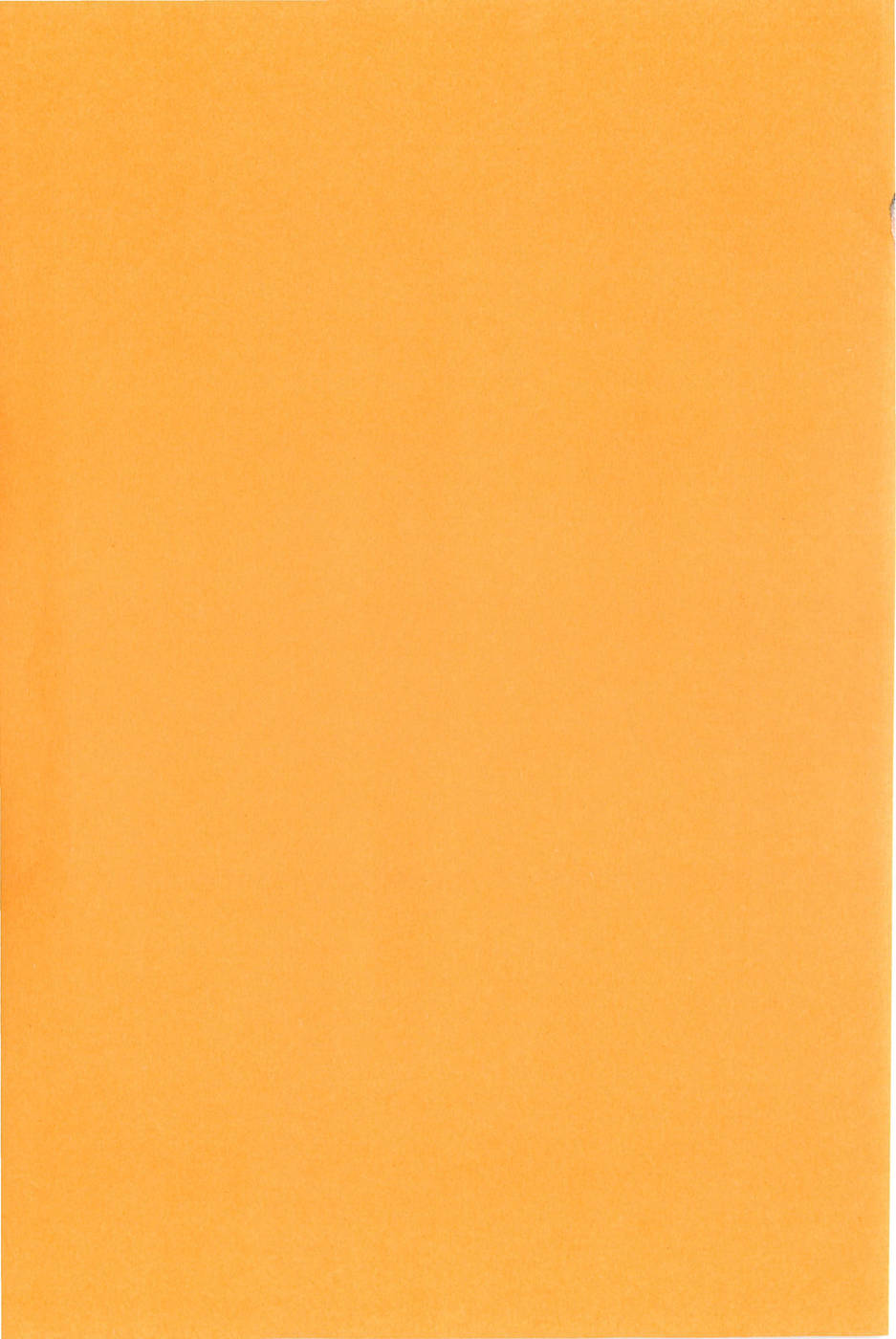 Cheerism - Foto 194